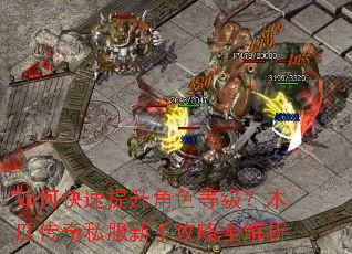 如何快速提升角色等级?木瓜传奇私服新手攻略全解析 如何快速提升角色等级?木瓜传奇私服新手攻略全解析