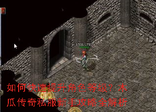 如何快速提升角色等级?木瓜传奇私服新手攻略全解析 如何快速提升角色等级?木瓜传奇私服新手攻略全解析