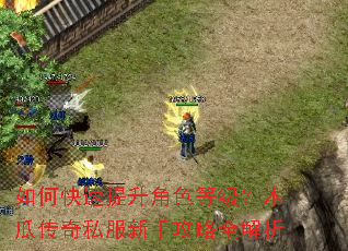 如何快速提升角色等级?木瓜传奇私服新手攻略全解析 如何快速提升角色等级?木瓜传奇私服新手攻略全解析